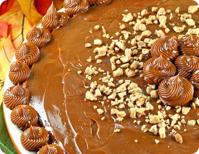 Pumpkin-Cheese-Pie