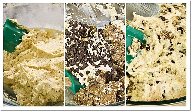 tagalong-collage-2