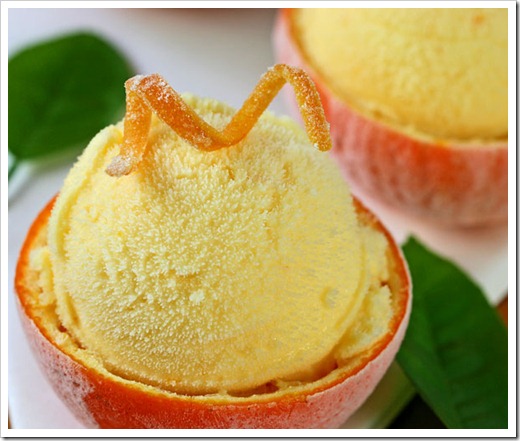 honeybell-sherbet-2