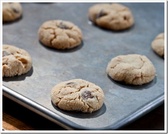 peanut-butter-cookies-2