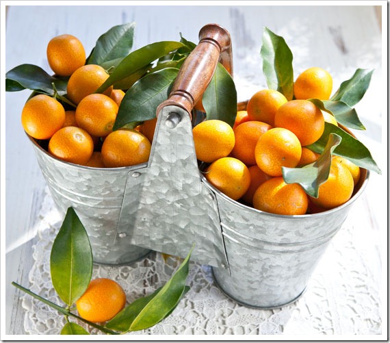 kumquats-3