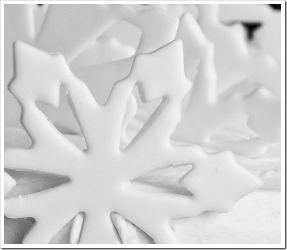 snowflake-cake-5-bw