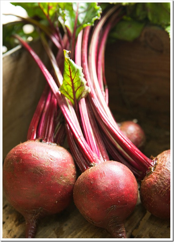 beets-1