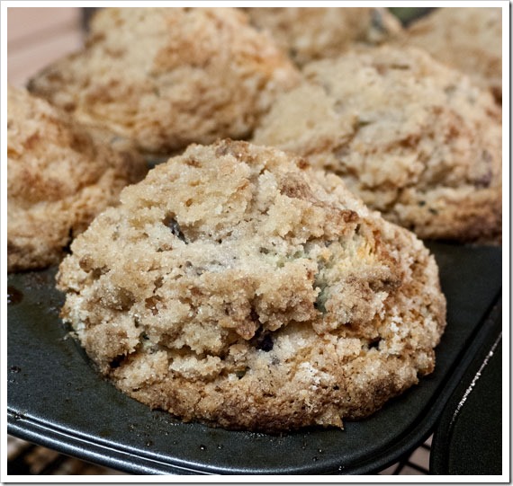 blueberry-muffins-5