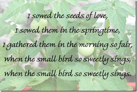 seedsoflove2