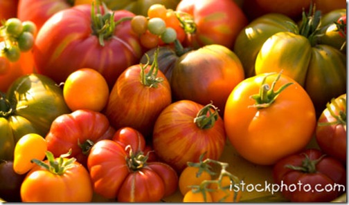 heirloomtomatoesattrib