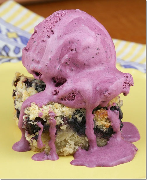 blueberryicecream3